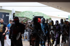 FedCon31_078