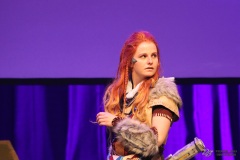 FedCon31_343