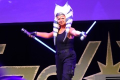 FedCon31_375