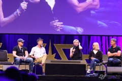 FedCon31_493