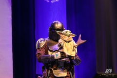 FedCon32_277