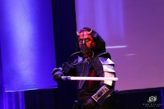 FedCon32_294