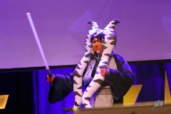 FedCon32_302