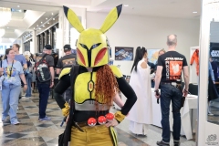FedCon33_015