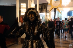 FedCon33_112