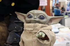 FedCon33_119