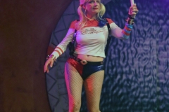 FedCon33_199