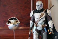 FedCon33_213