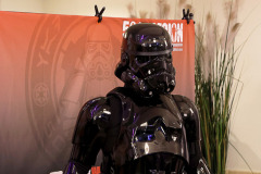 FedCon_34_295