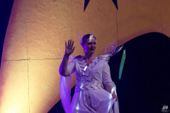 FedCon_34_331