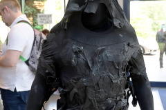 FedCon_34_465