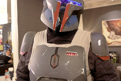 FedCon_34_493