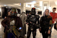 FedCon_34_516