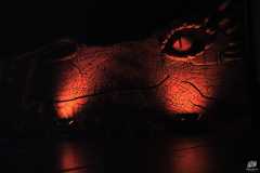 MagicCon8_441