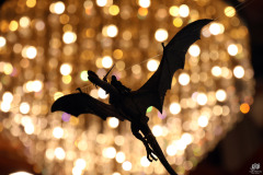 MagicCon_9_1178