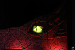 MagicCon_9_1239